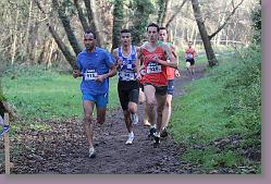 Begles 15.12.13 01 1080 * 679 x 453 * (165KB)